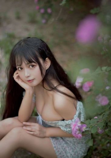 热带雨林电影高清完整版在线观看_国产剧在线观看高清