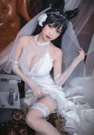 战狼4免费观看在线播放下载_4K高清视频播放