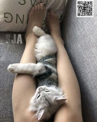 99无码精品二区在线视频_BD免费观看电视剧