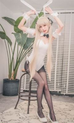 无码欧美成人AV天堂456软件_DVD免费在线观看